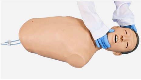 Nasogastric Tube Insertion Training Model