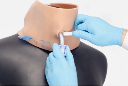 Surgical Airway Training Simulator