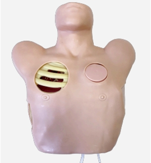 Chest Drain & Needle Decompression Trainer