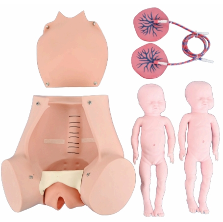 Childbirth Simulator
