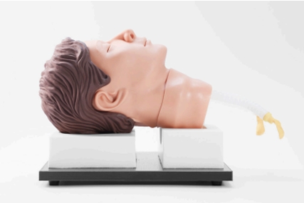 Cricothyrotomy and Tracheostomy Trainer
