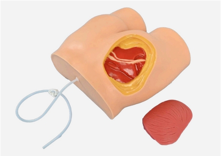 Buttock Injection Model